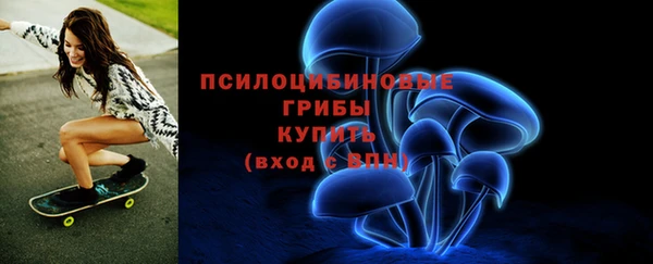 прущая мука Елабуга