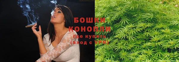 крисы Заводоуковск