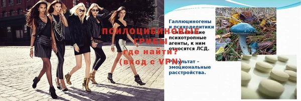 прущая мука Елабуга